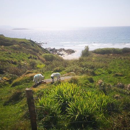 Anne'S Thatched Cottage Kilcar 外观 照片