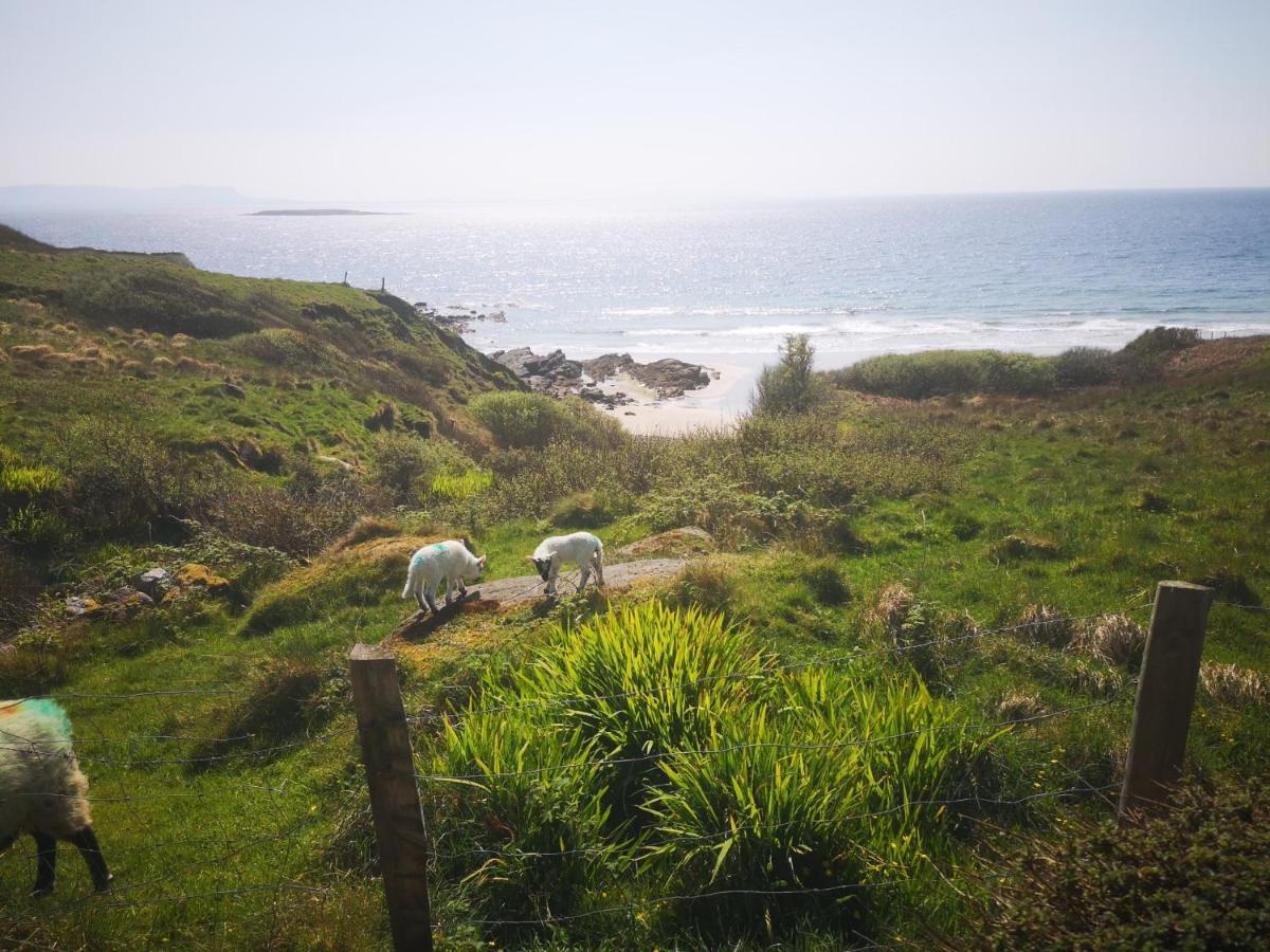 Anne'S Thatched Cottage Kilcar 外观 照片